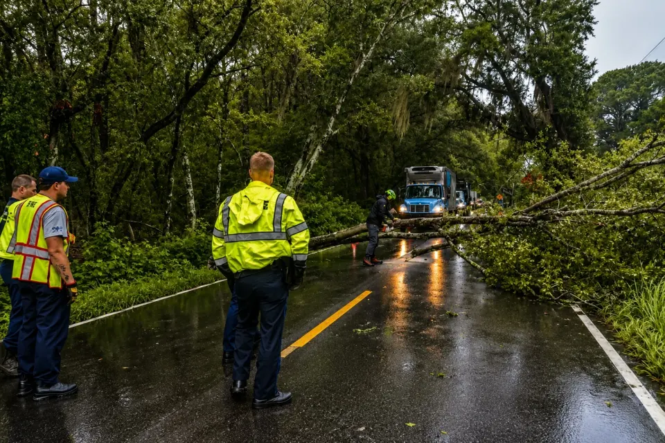 Professional storm cleanup service
